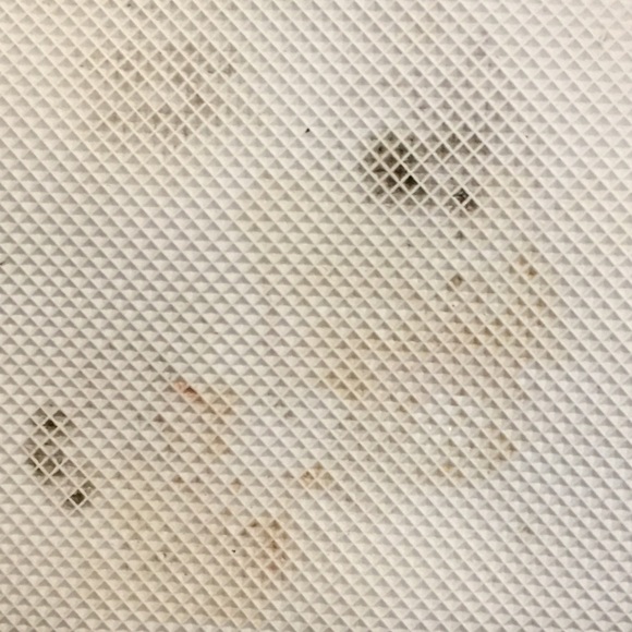 Lacoste Womens Blue White Canvas Tote bag Size OS - Picture 7 of 8